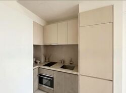 Lincoln Suites (D11), Condominium #535476161